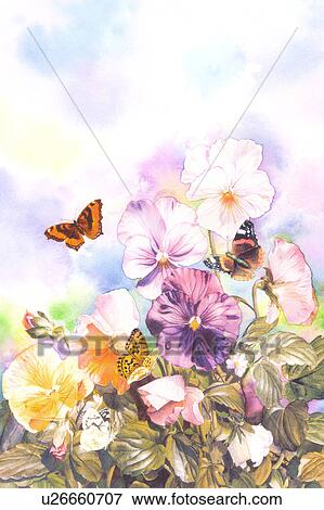 Insects, Watercolor painting of butterflies and flowers View Large Illustration Stock Illustration - Insects, Watercolor painting of butterflies and flowers. Fotosearch