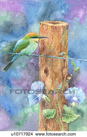 Stock Illustration - Watercolor painting of a bird perching near wood with petunia. Fotosearch