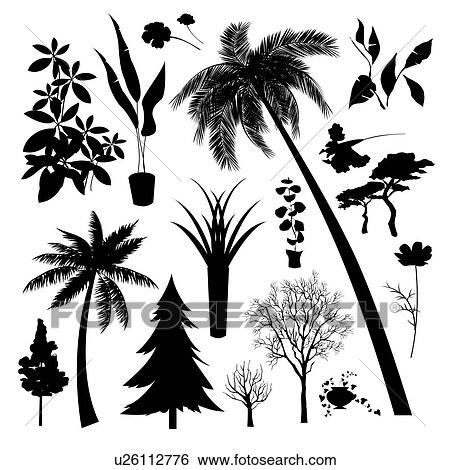 セット の シルエット の 別 タイプ の 木 そして 植物 イラスト U Fotosearch