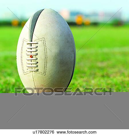 Health, Outdoor Sports, Constitutional, Entertainments, Sport, Rugger, Ball Games View Large Photo Image Stock Photograph - Health, Outdoor Sports, Constitutional, Entertainments, Sport, Rugger, Ball Games. Fotosearch