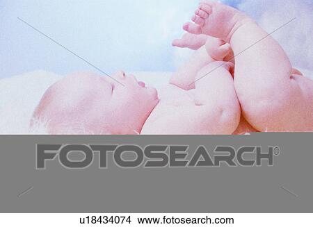 Newborn, Human, Westerner, Baby, Babies, Pure, Children View Large Photo Image Picture - Newborn, Human, Westerner, Baby, Babies, Pure, Children. Fotosearch