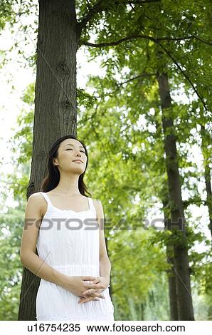 Stock Photography - Young woman leaning on tree. Fotosearch