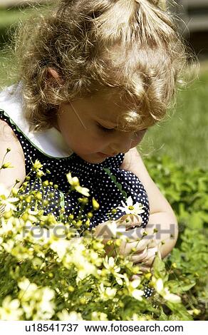 Little girl holding a flower in her hands View Large Photo Image Stock Photo - Little girl holding a flower in her hands. Fotosearch
