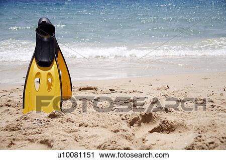 Flippers on the beach View Large Photo Image Stock Image - Flippers on the beach. Fotosearch