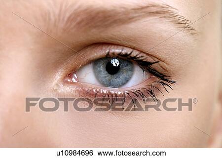Stock Photograph - Beauty shot of woman's eye. Fotosearch