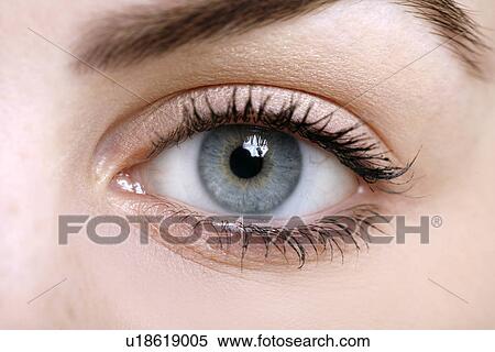 Stock Photography - Beauty shot of woman's eye. Fotosearch