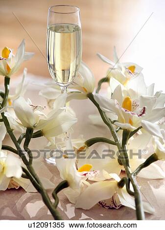 Stock Photography - Glass of champagne surrounded by flowers. Fotosearch