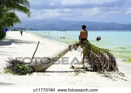 A boy sitting on a fallen palm tree View Large Photo Image Picture - A boy sitting on a fallen palm tree. Fotosearch