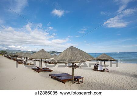 Beach chairs and sunshade on the beach View Large Photo Image Stock Photography - Beach chairs and sunshade on the beach. Fotosearch