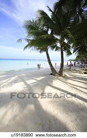 Beautiful beach in Boracay island View Large Photo Image Stock Image - Beautiful beach in Boracay island. Fotosearch