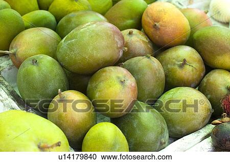 Green mango View Large Photo Image Stock Image - Green mango. Fotosearch