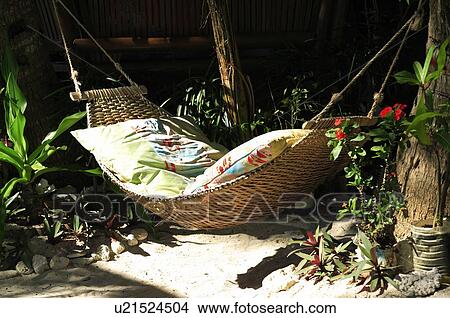 Hammock between palm trees View Large Photo Image Picture - Hammock between palm trees. Fotosearch