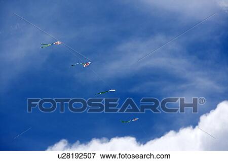 Kites flying in the sky View Large Photo Image Stock Photo - Kites flying in the sky. Fotosearch