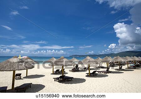Sunshade and beach chair in a row on beach View Large Photo Image Stock Image - Sunshade and beach chair in a row on beach. Fotosearch