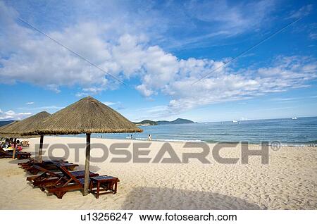 Sunshades and beach chairs on beach View Large Photo Image Stock Photo - Sunshades and beach chairs on beach. Fotosearch