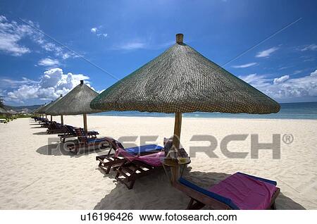 Stock Photograph - Sunshades and chairs in a row. Fotosearch
