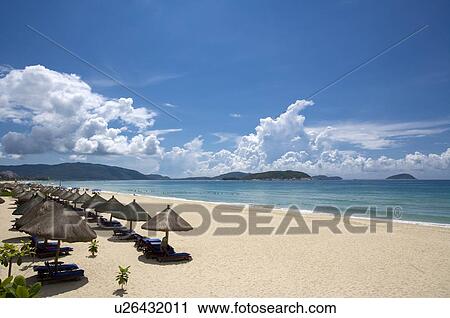 Sunshades in a row standing on beach View Large Photo Image Stock Image - Sunshades in a row standing on beach. Fotosearch