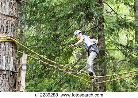 A woman works her way through a high ropes course at the Strathcona Park Lodge, BC View Large Photo Image Stock Photo - A woman works her way through a high ropes course at the Strathcona Park Lodge, BC. Fotosearch