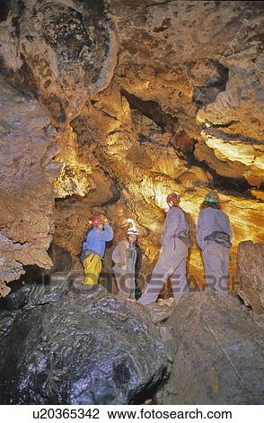 Inside of Horne Lake Caves, with stalagmites lit by strobe, Horne Lake Caves, Vancouver Island, BC View Large Photo Image Stock Image - Inside of Horne Lake Caves, with stalagmites lit by strobe, Horne Lake Caves, Vancouver Island, BC. Fotosearch