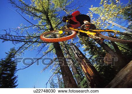 young man catches air on mountain bike near Fernie, BC, Canada View Large Photo Image Stock Image - young man catches air on mountain bike near Fernie, BC, Canada. Fotosearch