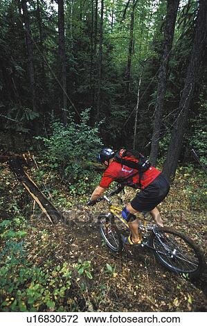 Stock Image - young man mountain biking on Big Trouble, Little Chainring, Fernie, BC, Canada. Fotosearch