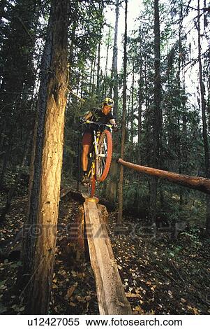 Young man performs wheelie on mountain bike on Kid's Stuff trail near Fernie, BC, Canada View Large Photo Image Stock Photography - Young man performs wheelie on mountain bike on Kid's Stuff trail near Fernie, BC, Canada. Fotosearch