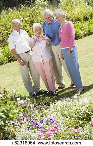 Two senior couples in a flower garden View Large Photo Image Picture - Two senior couples in a flower garden. Fotosearch