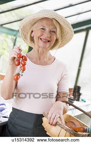 Stock Image - Woman in greenhouse holding cherry tomatoes smiling. Fotosearch