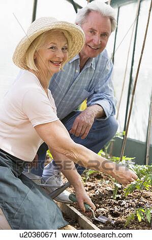 Stock Image - Woman in greenhouse planting seeds and man holding watering can smiling. Fotosearch