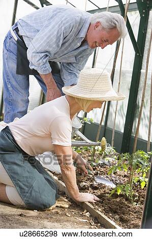 Stock Photo - Woman in greenhouse planting seeds and man holding watering can smiling. Fotosearch
