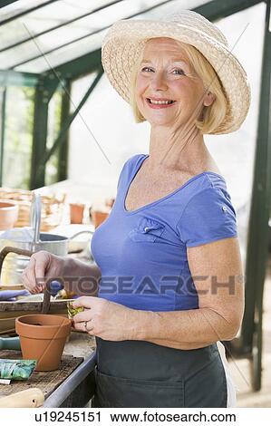 Woman in greenhouse putting seeds in pot and smiling View Large Photo Image Stock Image - Woman in greenhouse putting seeds in pot and smiling. Fotosearch