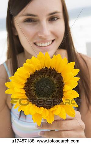Woman holding a sunflower View Large Photo Image Stock Photo - Woman holding a sunflower. Fotosearch