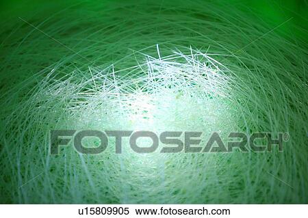 Closeup of fishing line View Large Photo Image Stock Photography - Closeup of fishing line. Fotosearch