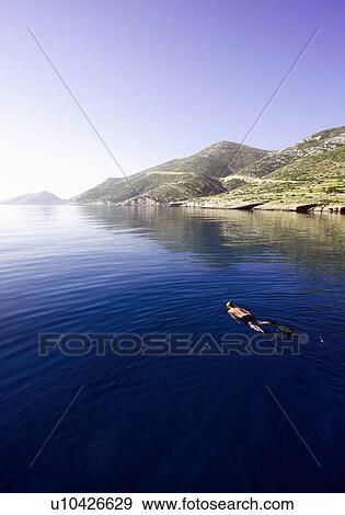 Man snorkeling in the sea View Large Photo Image Stock Photo - Man snorkeling in the sea. Fotosearch
