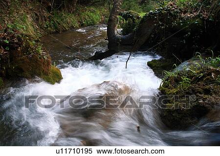 River rushing through forest View Large Photo Image Stock Photography - River rushing through forest. Fotosearch