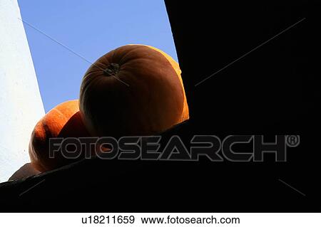 Stock Photo - Two pumpkins on a window ledge. Fotosearch