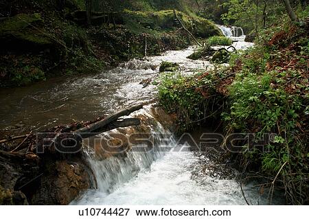 Waterfall in forest View Large Photo Image Stock Photo - Waterfall in forest. Fotosearch