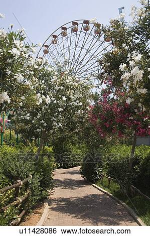 Ferris wheel View Large Photo Image Stock Photograph - Ferris wheel. Fotosearch