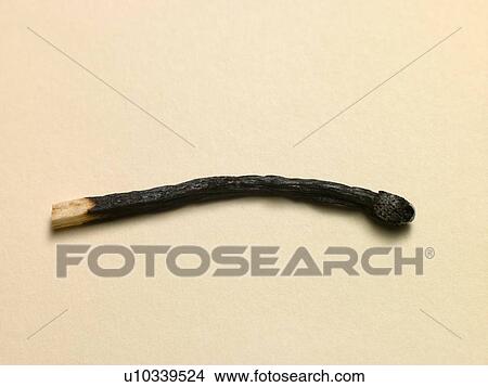 Burnt Matchstick View Large Photo Image Picture - Burnt Matchstick. Fotosearch