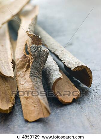 Stock Photo - Cinnamon Bark. Fotosearch