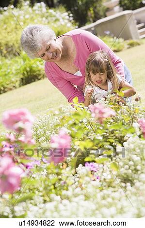 Grandmother and granddaughter outdoors in garden smiling View Large Photo Image Stock Image - Grandmother and granddaughter outdoors in garden smiling. Fotosearch