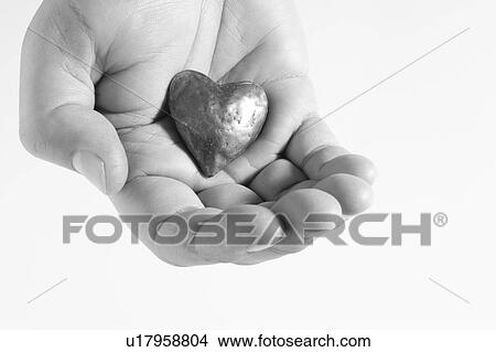 Picture - Heart In Hand. Fotosearch