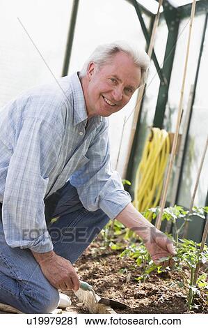 Stock Image - Man in greenhouse holding shovel smiling. Fotosearch