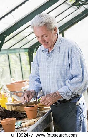 Stock Photo - Man in greenhouse putting seed in pot smiling. Fotosearch