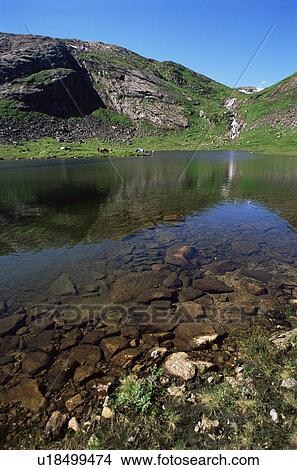 Scenic view of River View Large Photo Image Picture - Scenic view of River. Fotosearch