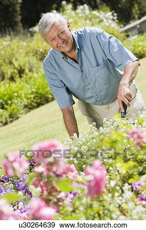 Senior man in a flower garden View Large Photo Image Stock Photo - Senior man in a flower garden. Fotosearch