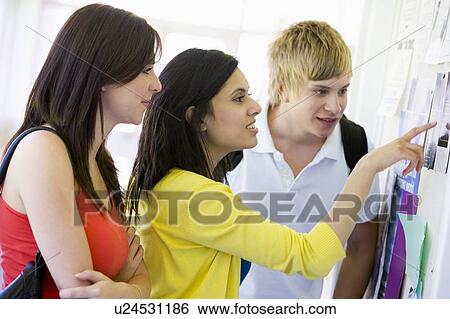 Three students in corridor looking at bulletin board (high key) View Large Photo Image Stock Photograph - Three students in corridor looking at bulletin board (high key). Fotosearch