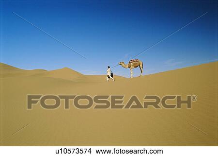Woman outdoors walking in the desert with a camel (far away) View Large Photo Image Picture - Woman outdoors walking in the desert with a camel (far away). Fotosearch