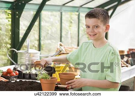 Young boy in greenhouse putting soil in pot smiling View Large Photo Image Stock Photo - Young boy in greenhouse putting soil in pot smiling. Fotosearch