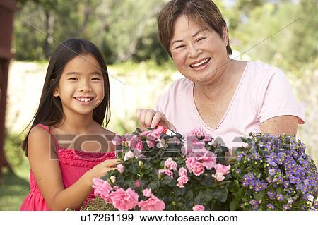 Stock Photo - Granddaughter And Grandmother Gardening Together. Fotosearch